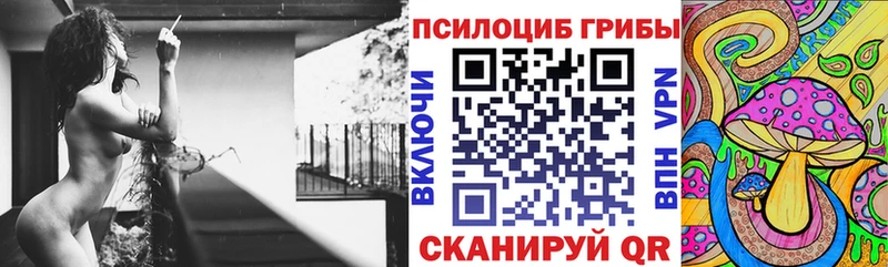 Псилоцибиновые грибы ЛСД  darknet какой сайт  Тырныауз 